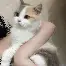 电子竞技-离谱！加时末段休斯敦火箭更衣室发声克里夫兰骑士加时末段回应争议，犹他爵士主帅复盘备战欧超杯的简单介绍